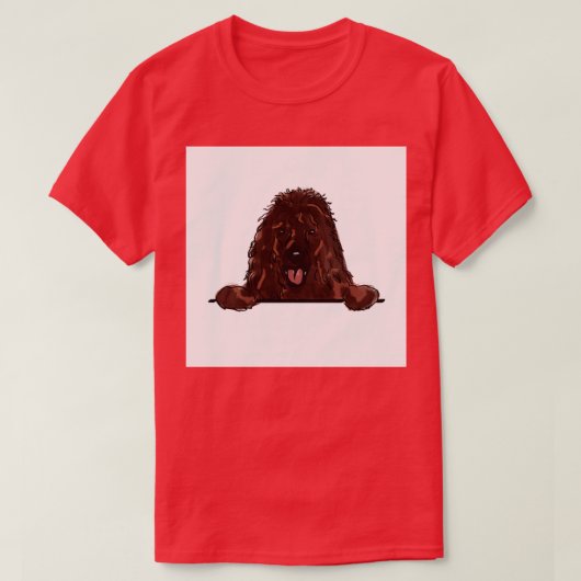 Iers waterspaniel t-shirt (Design voorkant)