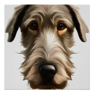 Iers Wolfhound Pet Portret schilderen geïsoleerd Perfect Poster