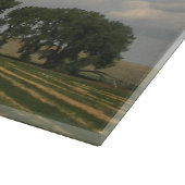 Iers zegenend boerenlandschap snijplank (Hoek)