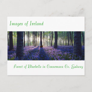Ierse Afbeeldingen voor briefkaart