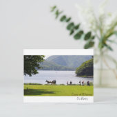 Ierse Afbeeldingen voor briefkaart (Staand voorkant)