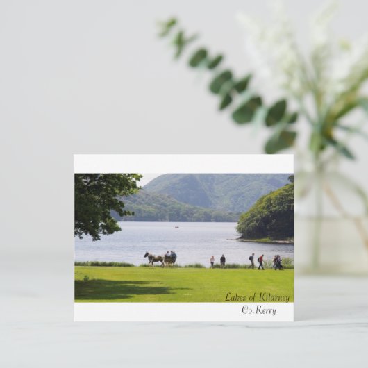 Ierse Afbeeldingen voor briefkaart (Staand voorkant)