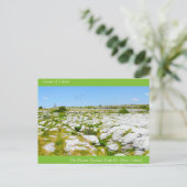 Ierse Afbeeldingen voor briefkaart (Staand voorkant)