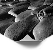 Ierse Afbeeldingen voor poster (Hoek)