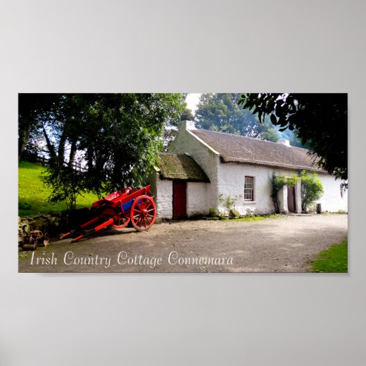 Ierse Afbeeldingen voor poster (Voorkant)