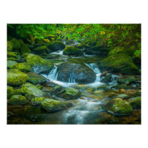 Ierse bosstroom - Emerald Woodland Fotoafdruk