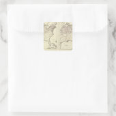 Ierse en Duitse bevolking 1870 Vierkante Sticker (Tas)