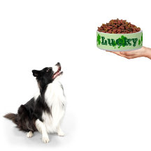 Ierse groene klaver boft shamrock pet bowl