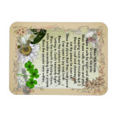 Ierse Huis Zegen magneet (Horizontaal)