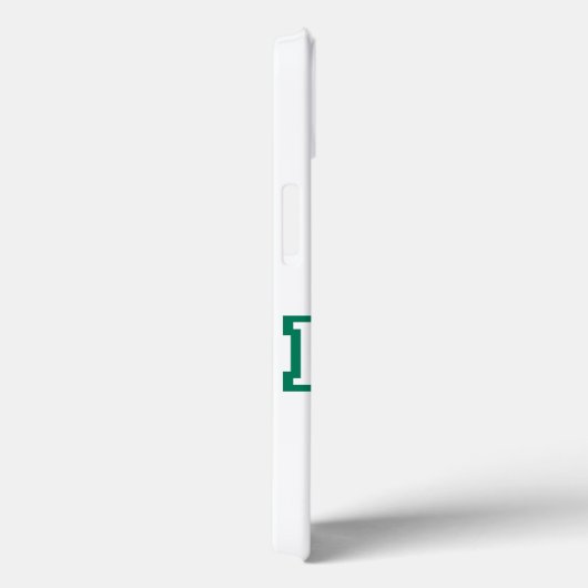 Ierse iPad Case (Achterkant / Rechts)