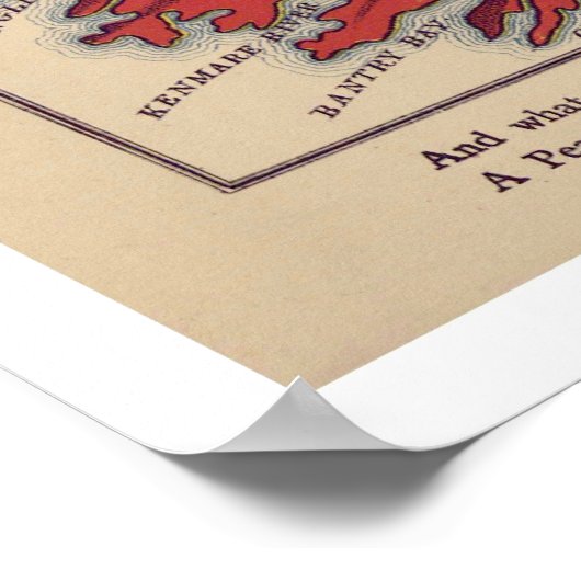 Ierse kaart 1868 poster (Hoek)