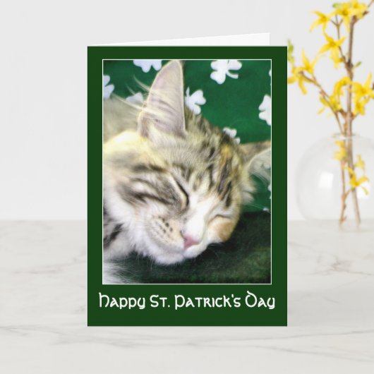 Ierse kat droomt van St. Patrick's Day Kaart (Gele Bloem)