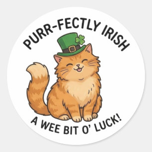 Ierse kat met oranje vacht St. Patrick's Day stick Ronde Sticker