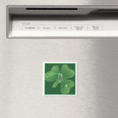 IERSE KLAVER MAGNEET (Insitu (Vaatwasser))