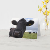 Ierse koe! kaart (Gele Bloem)