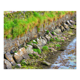 Ierse lente #1 foto afdruk