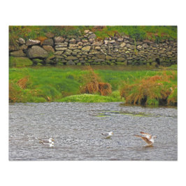 Ierse lente #2 foto afdruk