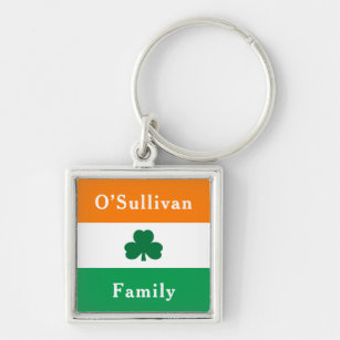 Ierse persoonlijke familienaam Ierland vlag Sleutelhanger