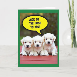 Ierse Puppy Geluk Met Jou Kaart