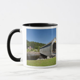 Ierse rivier overdekte brug, St. Martins, New Mok