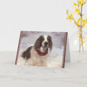 Ierse Rode en Witte Setter in de sneeuw en met een Kaart (Gele Bloem)