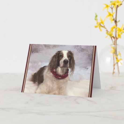 Ierse Rode en Witte Setter in de sneeuw en met een Kaart (Gele Bloem)