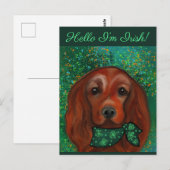 Ierse Rode Setter       Briefkaart (Voorkant / Achterkant)