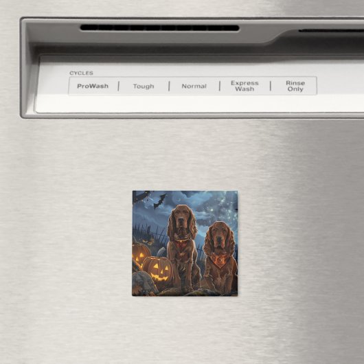 Ierse Rode Setter Halloween Spooky Magneet (Insitu (Vaatwasser))