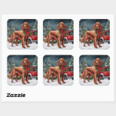 Ierse rode setter hond in sneeuw Kerstmis Vierkante Sticker (Vel)