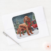 Ierse rode setter hond in sneeuw Kerstmis Vierkante Sticker (Envelop)
