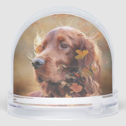 Ierse Rode Setter, Ierse Setter Sneeuwbol (Achterkant)