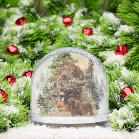 Ierse Rode Setter, Ierse Setter Sneeuwbol (Kerstmis)