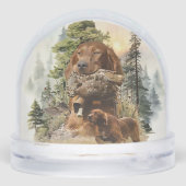 Ierse Rode Setter, Ierse Setter Sneeuwbol (Achterkant)