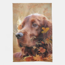 Ierse Rode Setter, Ierse Setter