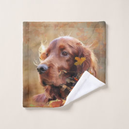 Ierse Rode Setter, Ierse Setter Washandje