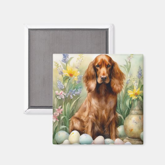 Ierse rode setter met paaseieren magneet (Voorkant / Achterkant)