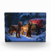 Ierse rode setter sneeuwslee kerstdecor fotoblokken (Voorkant)