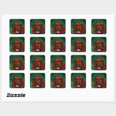 Ierse Rode Setter Vierkante Sticker (Vel)
