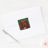 Ierse rode setter vierkante sticker (Envelop)