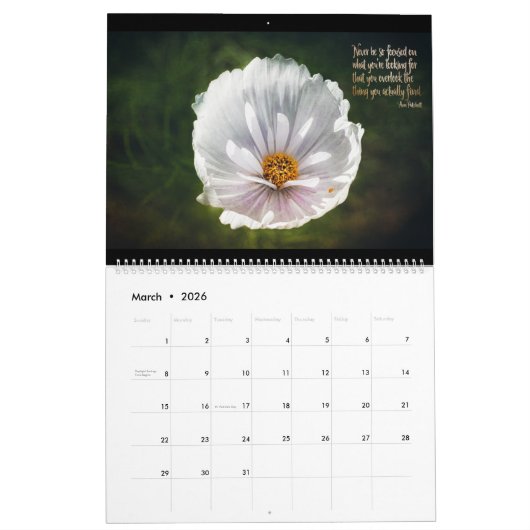 Ierse schoonheid kalender (Mar 2026)