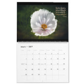 Ierse schoonheid kalender (Mar 2027)