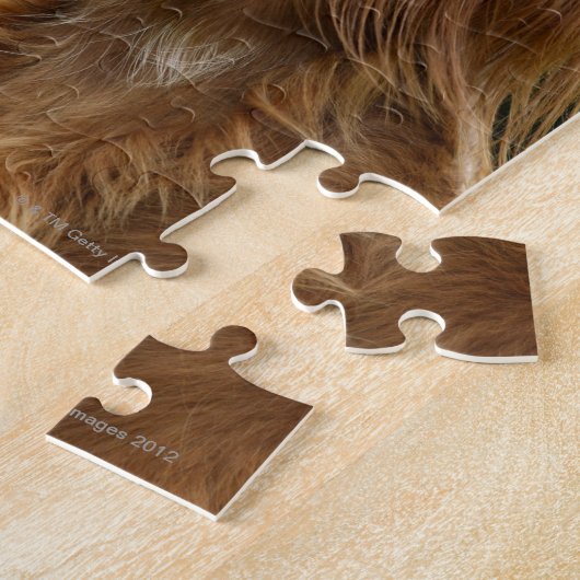Ierse Setter 2 Legpuzzel (Zijkant)