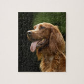 Ierse Setter 2 Legpuzzel (Verticaal)