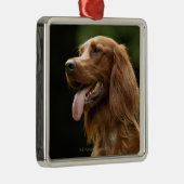 Ierse Setter 2 Metalen Ornament (Rechts)