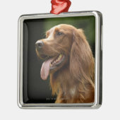 Ierse Setter 2 Metalen Ornament (Links)