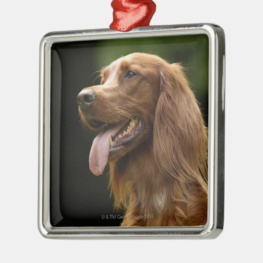 Ierse Setter 2 Metalen Ornament (Links)