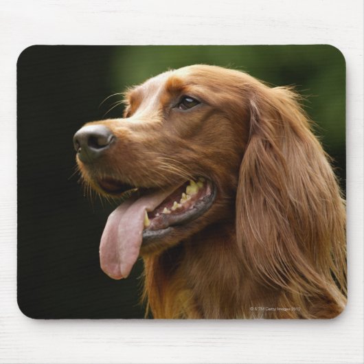 Ierse Setter 2 Muismat (Voorkant)