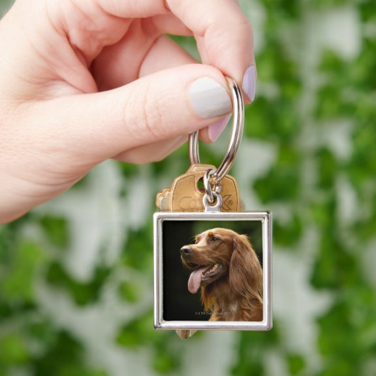 Ierse Setter 2 Sleutelhanger (Hand)