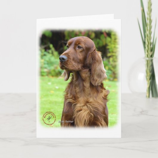 Ierse Setter 9T004D-286 Kaart (Voorkant)