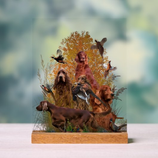 Ierse Setter Acryl Bord (Neutraal)